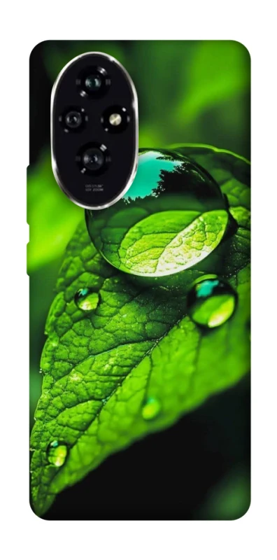 Чехол на Honor 200 Flowers v16 фото 1 из 1