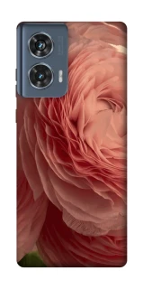 Чохол на Motorola Edge 50 Elegance фото 1 Чохол на Motorola Edge 50 Elegance фото 1 з 1