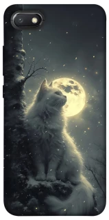 Чехол на Xiaomi Redmi 6A Кот под луной фото 1 из 1
