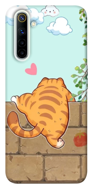 Чохол на Realme 6 Cat the meow фото 1 з 1