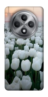 Чехол на Oppo Reno 12 F 4G Flowers v1 фото 1 Чехол на Oppo Reno 12 F 4G Flowers v1 фото 1 из 1