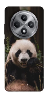 Чехол на Oppo Reno 12 F 4G Панда фото 1 из 1