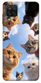 Чехол на Samsung Galaxy M12 Cats фото 1 из 1