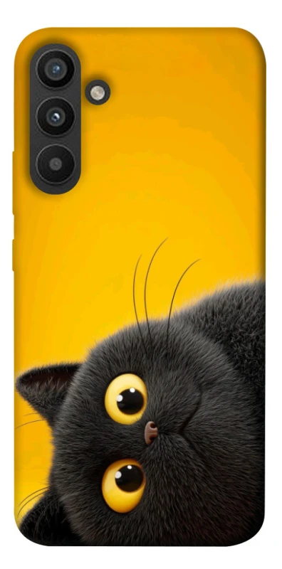 Чохол на Samsung Galaxy A34 5G This is Cat фото 1 з 1