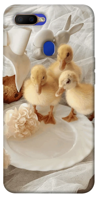 Чохол на Oppo A5s Easter Vibes фото 1 з 1