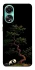 Чохол на Oppo A78 4G Panda and tree фото 1 з 1