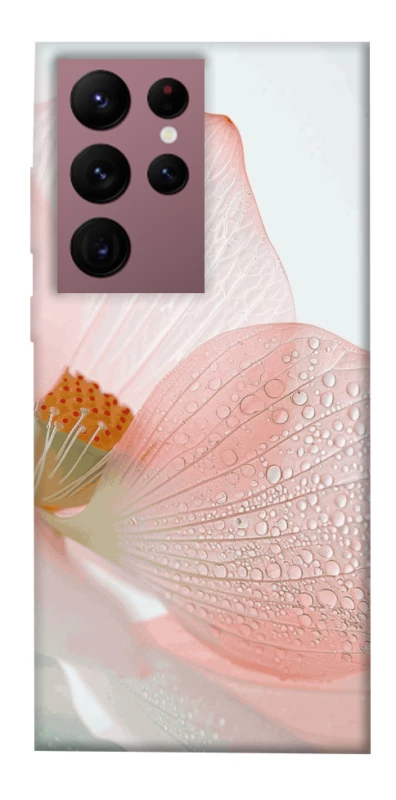 Чохол на Samsung Galaxy S22 Ultra Flowers zon фото 1 з 1