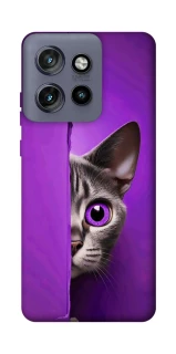 Чохол на Motorola Edge 50 Neo Кіт-підглядач фото 1 з 1