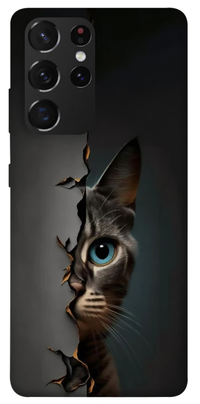 Чехол на Samsung Galaxy S21 Ultra Кот-подглядыватель v2 фото 1 из 1