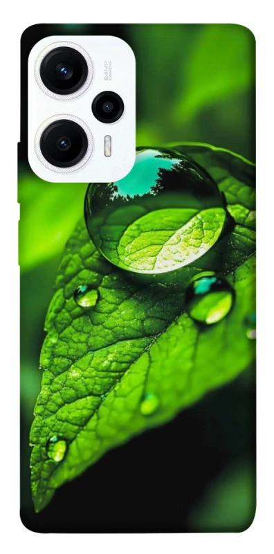 Чохол на Xiaomi Poco F5 / Note 12 Turbo Flowers v16 фото 1 з 1