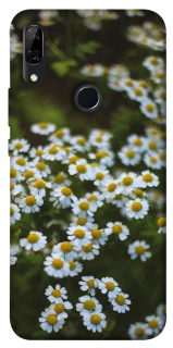Чехол на Huawei P Smart Z Ромашки v13 фото 1 из 1