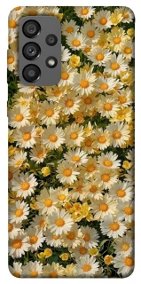 Чохол на Samsung Galaxy A73 5G Camomile фото 1 з 1