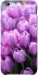 Чехол на Apple iPhone 6/6s plus (5.5") Фиолетовые тюльпаны фото 1 из 1