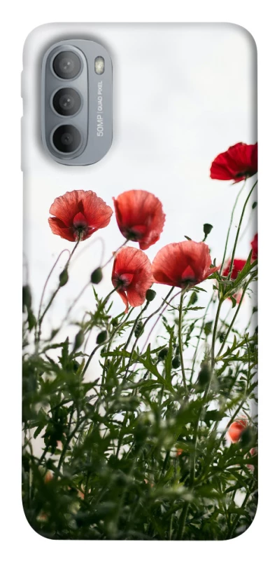 Чохол на Motorola Moto G31 Поле маків фото 1 з 1