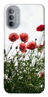 Чохол на Motorola Moto G31 Поле маків фото 1 з 1