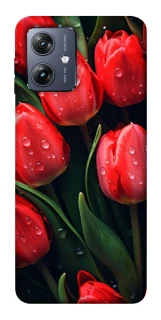 Чохол на Motorola Moto G54 Червоні тюльпани фото 1 Чохол на Motorola Moto G54 Червоні тюльпани фото 1 з 1