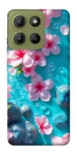 Чохол на Motorola Moto G15 4G Flowers v19 фото 1 з 1