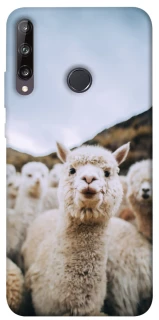 Чохол на Huawei P40 Lite E Лама фото 1 з 1