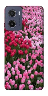 Чехол на Motorola Moto G05 Flowers v9 фото 1 из 1