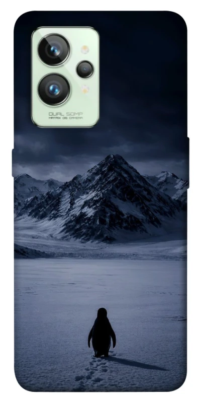 Чохол на Realme GT2 But why? фото 1 з 1