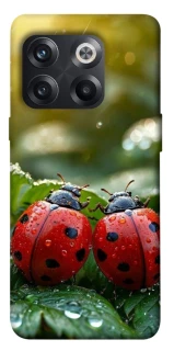 Чохол на OnePlus 10T Flowers v23 фото 1 з 1