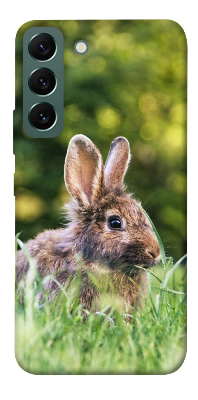 Чехол на Samsung Galaxy S22 Кролики фото 1 из 1
