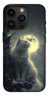 Чохол на Apple iPhone 14 Pro (6.1") Кіт під місяцем фото 1 з 1