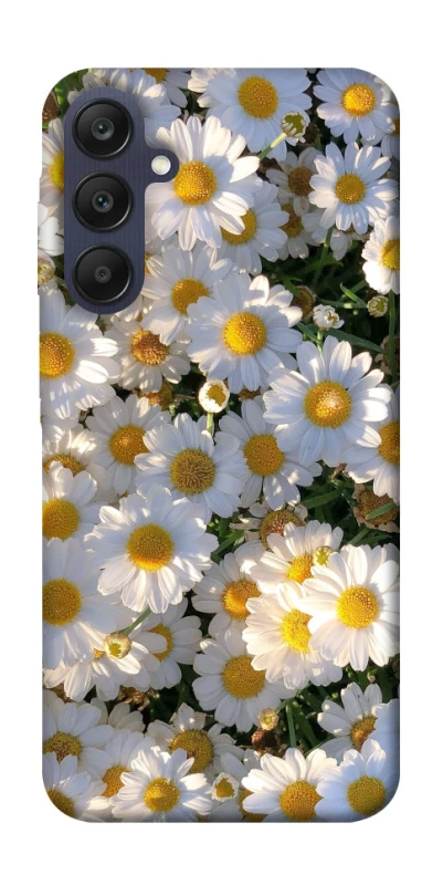 Чохол на Samsung Galaxy A25 5G Поле ромашок фото 1 з 1
