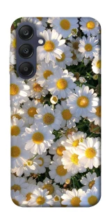 Чохол на Samsung Galaxy A25 5G Поле ромашок фото 1 з 1