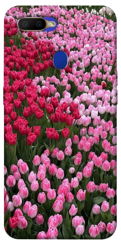 Чехол на Oppo A5s Flowers v9 фото 1 из 1