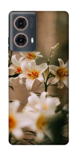Чохол на Motorola Moto G85 Лілії фото 1 з 1