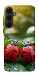 Чохол на Samsung Galaxy A55 Flowers v23 фото 1 з 1