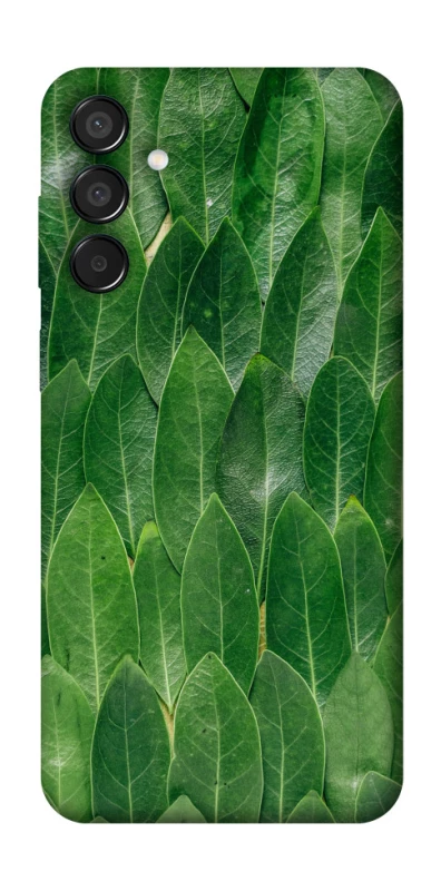 Чохол на Samsung Galaxy M15 5G Листя фото 1 з 1