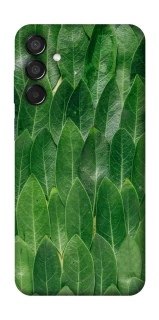 Чехол на Samsung Galaxy M15 5G Листья фото 1 из 1