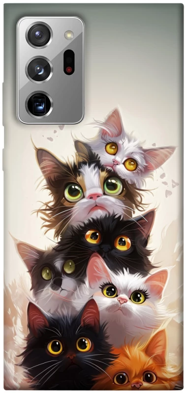 Чохол на Samsung Galaxy Note 20 Ultra Сat eyes фото 1 з 1