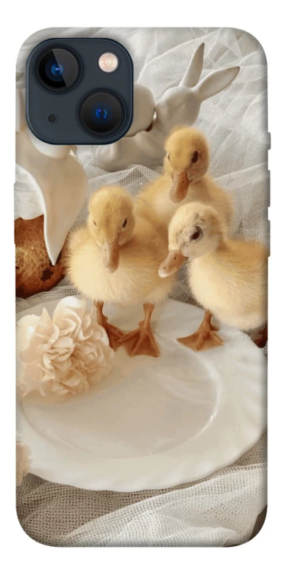 Чохол на Apple iPhone 13 (6.1") Easter Vibes фото 1 з 1