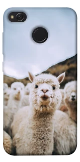 Чохол на Xiaomi Redmi 4X Лама фото 1 з 1