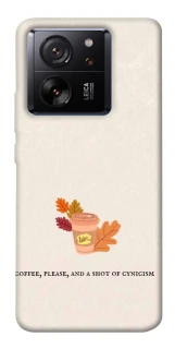 Чохол на Xiaomi 13T Autumn vibes ver.10 фото 1 з 1