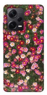 Чохол на Xiaomi Redmi Note 12 Pro+ 5G Flowers v8 фото 1 з 1