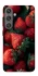 Чохол на Samsung Galaxy S24+ Strawberry фото 1 з 1