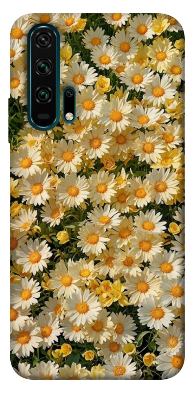 Чохол на Huawei Honor 20 Pro Camomile фото 1 з 1