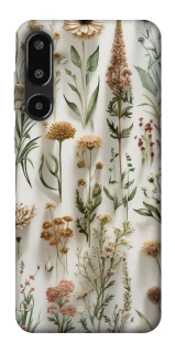 Чохол на Samsung Galaxy F16 Floral design ver.2 фото 1 з 1
