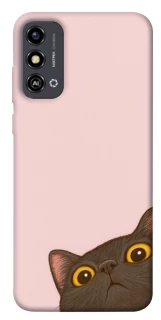 Чехол на ZTE Blade A53 Peeping cat фото 1 из 1