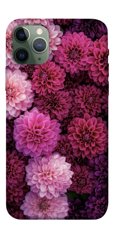 Чохол на Apple iPhone 11 Pro (5.8") Garden1 фото 1 з 1