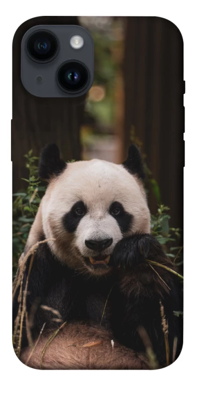 Чохол на Apple iPhone 14 (6.1") Панда фото 1 з 1