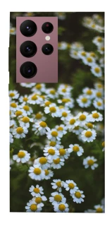 Чехол на Samsung Galaxy S22 Ultra Ромашки v13 фото 1 из 1
