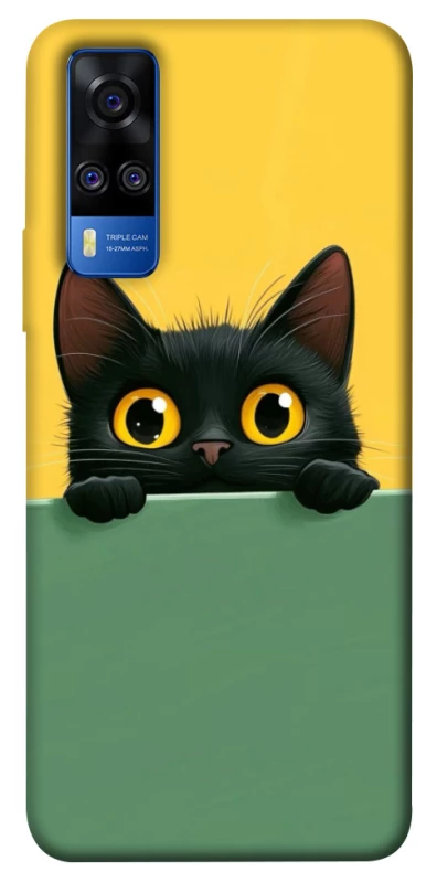 Чохол на Vivo Y51a Black cat v2 фото 1 з 1
