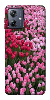 Чохол на Motorola Moto G54 Flowers v9 фото 1 Чохол на Motorola Moto G54 Flowers v9 фото 1 з 1