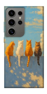 Чехол на Samsung Galaxy S24 Ultra cats on wall фото 1 из 1