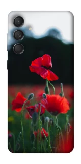 Чехол на Samsung Galaxy M55 Мак фото 1 из 1